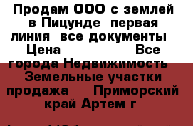 Продам ООО с землей в Пицунде, первая линия, все документы › Цена ­ 9 000 000 - Все города Недвижимость » Земельные участки продажа   . Приморский край,Артем г.